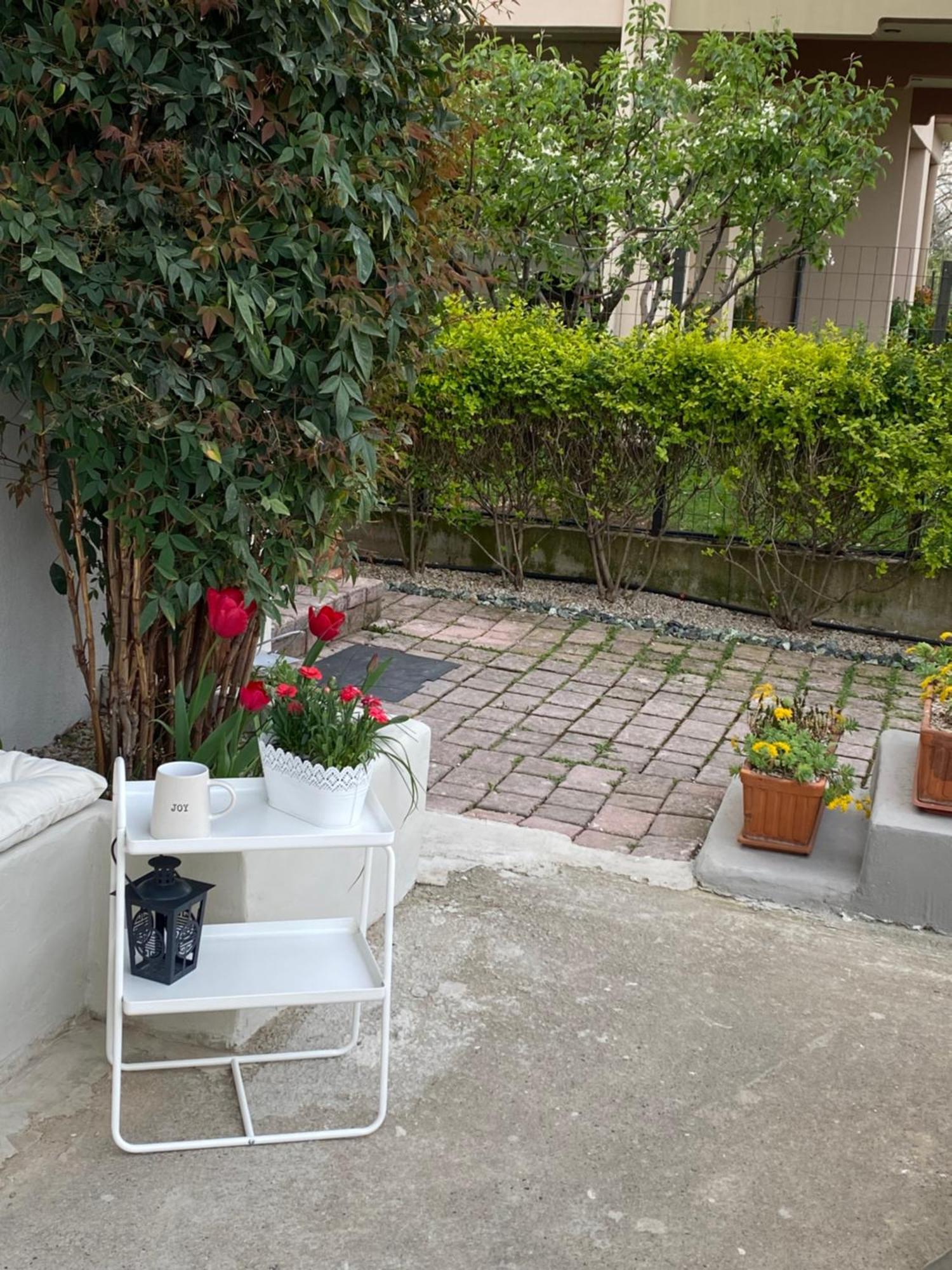 D.f. Apartment